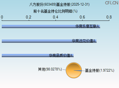 603489基金持仓图 603489基金持仓图