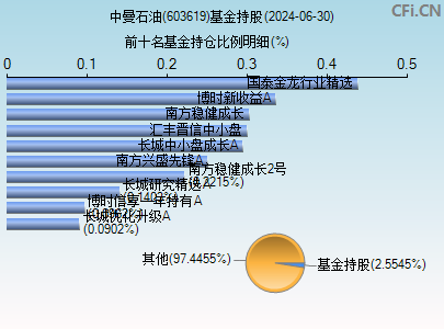 603619基金持仓图