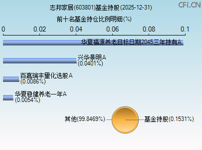 603801基金持仓图