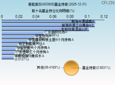 603809基金持仓图