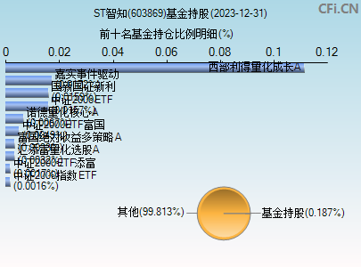 603869基金持仓图