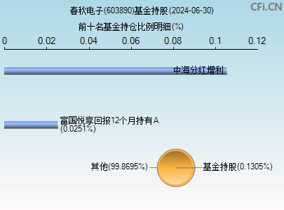 603890基金持仓图