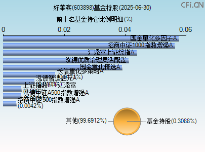 603898基金持仓图
