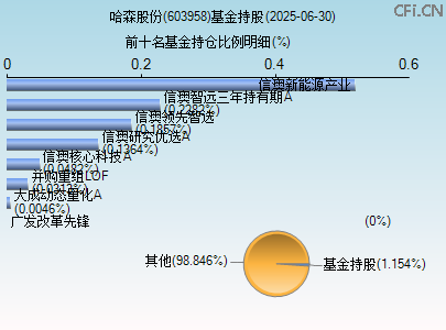603958基金持仓图