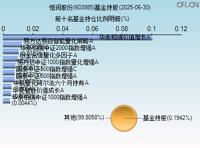 603985基金持仓图 603985基金持仓图