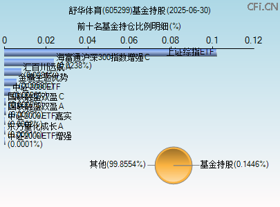 605299基金持仓图 605299基金持仓图