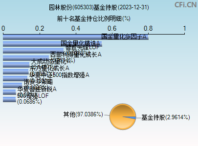 605303基金持仓图