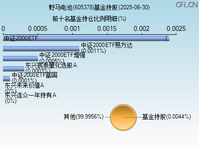 605378基金持仓图