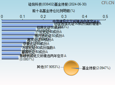 838402基金持仓图