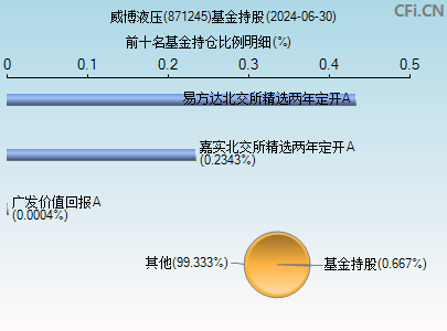 871245基金持仓图