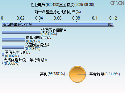 920128基金持仓图 920128基金持仓图