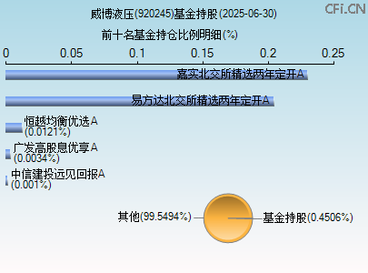 920245基金持仓图