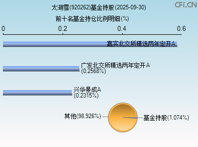 920262基金持仓图