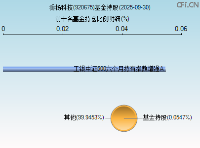 920675基金持仓图
