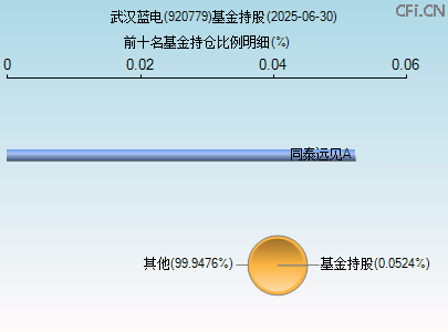 920779基金持仓图
