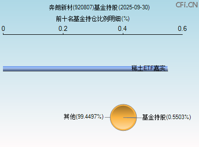 920807基金持仓图 920807基金持仓图