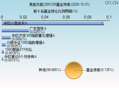 300129基金持仓图 300129基金持仓图