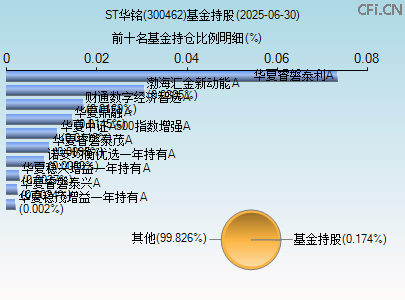 300462基金持仓图 300462基金持仓图