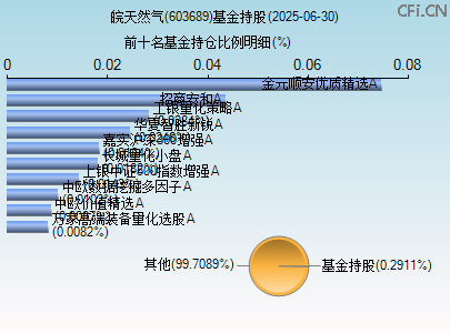603689基金持仓图 603689基金持仓图
