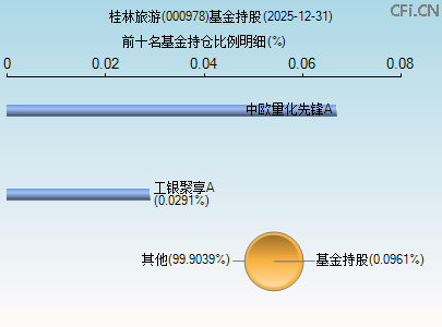 000978基金持仓图 000978基金持仓图
