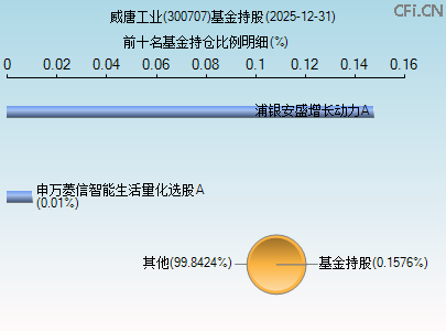 300707基金持仓图 300707基金持仓图