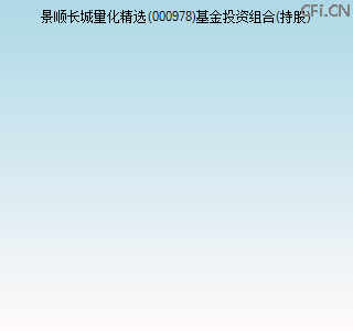 000978基金投资组合(持股)图 000978基金投资组合(持股)图
