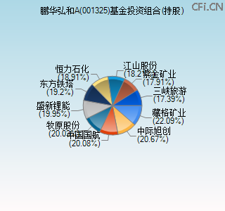 001325基金投资组合(持股)图