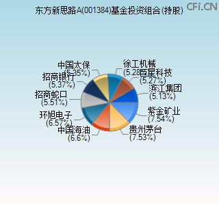 001384基金投资组合(持股)图