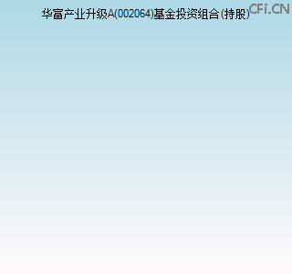 002064基金投资组合(持股)图