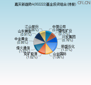 002222基金投资组合(持股)图