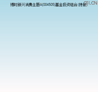 004505基金投资组合(持股)图