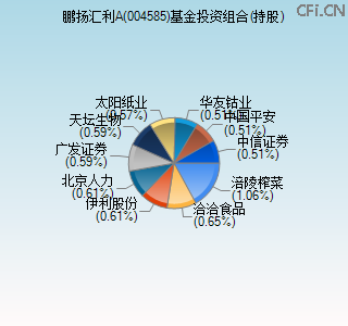 004585基金投资组合(持股)图 004585基金投资组合(持股)图