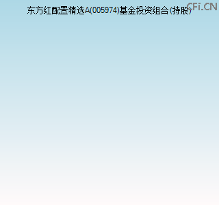 005974基金投资组合(持股)图