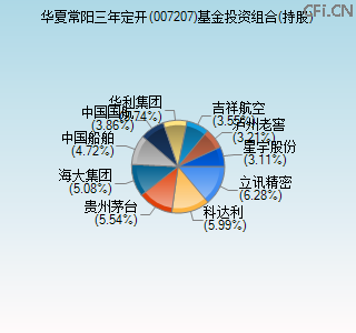007207基金投资组合(持股)图