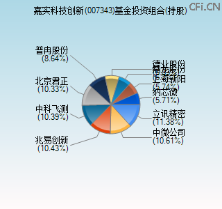 007343基金投资组合(持股)图
