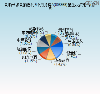 008999基金投资组合(持股)图