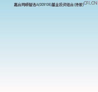009106基金投资组合(持股)图