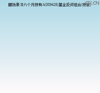 009428基金投资组合(持股)图