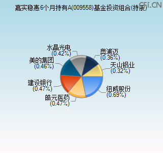009558基金投资组合(持股)图