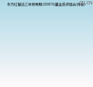 009576基金投资组合(持股)图