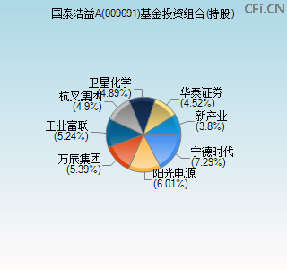 009691基金投资组合(持股)图