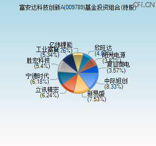 009789基金投资组合(持股)图