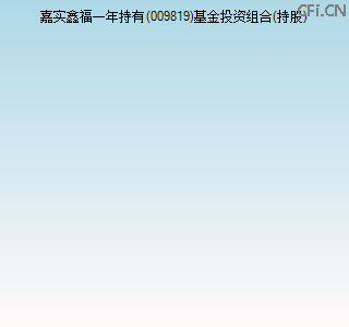 009819基金投资组合(持股)图