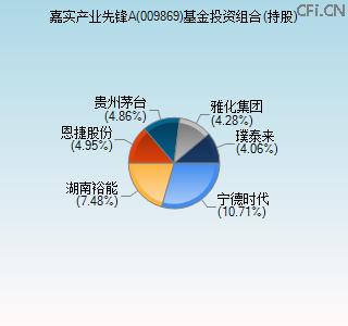 009869基金投资组合(持股)图