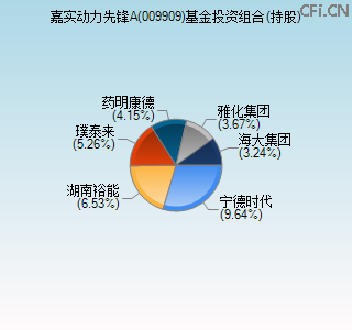 009909基金投资组合(持股)图