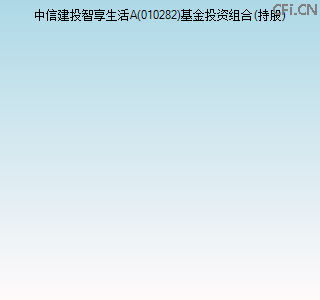 010282基金投资组合(持股)图