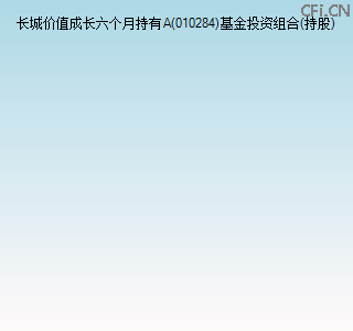 010284基金投资组合(持股)图 010284基金投资组合(持股)图