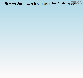 010552基金投资组合(持股)图