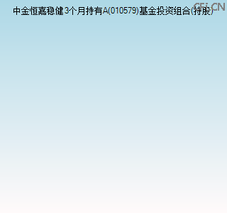 010579基金投资组合(持股)图
