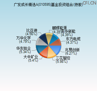 010595基金投资组合(持股)图